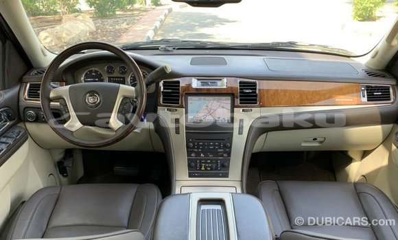 Buy Import Cadillac Escalade Black Car in Import - Dubai in Abseron Buy Import Cadillac Escalade Black Car in Import - Dubai in Abseron