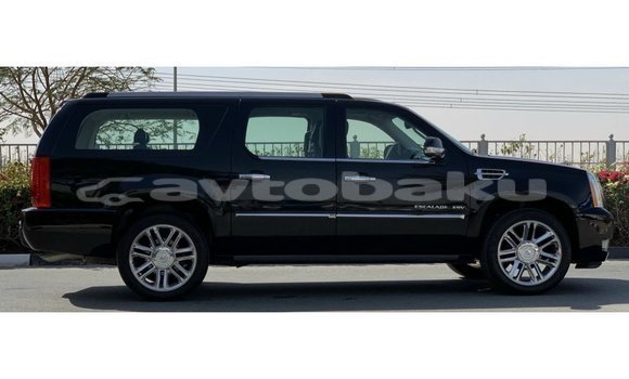Buy Import Cadillac Escalade Black Car in Import - Dubai in Abseron Buy Import Cadillac Escalade Black Car in Import - Dubai in Abseron