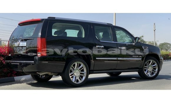 Buy Import Cadillac Escalade Black Car in Import - Dubai in Abseron Buy Import Cadillac Escalade Black Car in Import - Dubai in Abseron