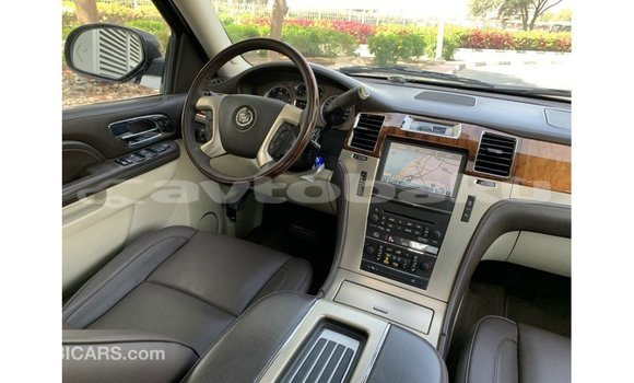 Buy Import Cadillac Escalade Black Car in Import - Dubai in Abseron Buy Import Cadillac Escalade Black Car in Import - Dubai in Abseron