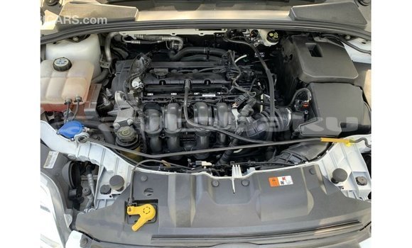 Buy Import Ford Focus White Car in Import - Dubai in Abseron Buy Import Ford Focus White Car in Import - Dubai in Abseron
