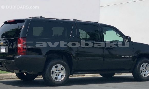 Buy Import Chevrolet Suburban Black Car in Import - Dubai in Abseron Buy Import Chevrolet Suburban Black Car in Import - Dubai in Abseron