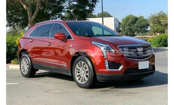 Buy Import Cadillac XT5 Red Car in Import - Dubai in Abseron