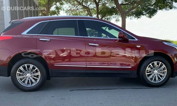 Buy Import Cadillac XT5 Red Car in Import - Dubai in Abseron Buy Import Cadillac XT5 Red Car in Import - Dubai in Abseron