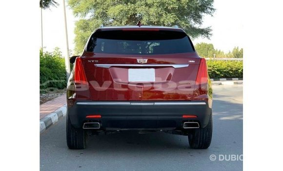 Buy Import Cadillac XT5 Red Car in Import - Dubai in Abseron Buy Import Cadillac XT5 Red Car in Import - Dubai in Abseron