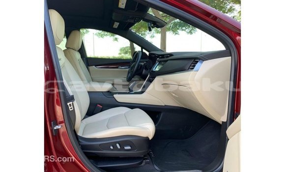 Buy Import Cadillac XT5 Red Car in Import - Dubai in Abseron Buy Import Cadillac XT5 Red Car in Import - Dubai in Abseron