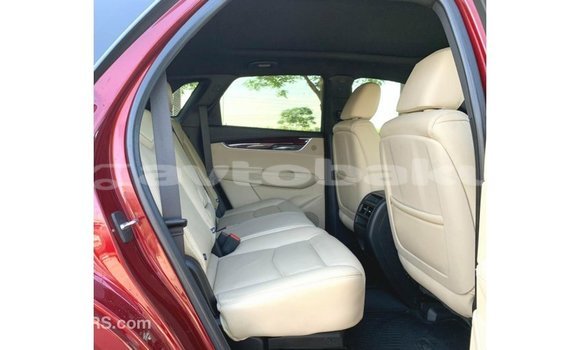Buy Import Cadillac XT5 Red Car in Import - Dubai in Abseron Buy Import Cadillac XT5 Red Car in Import - Dubai in Abseron
