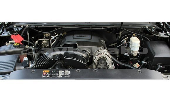 Buy Import Chevrolet Tahoe Black Car in Import - Dubai in Abseron Buy Import Chevrolet Tahoe Black Car in Import - Dubai in Abseron