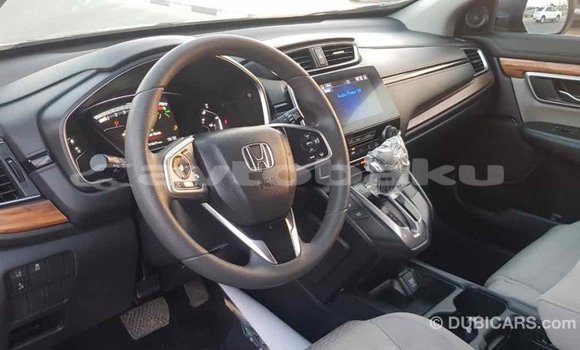 Buy Import Honda C Other Bike in Import - Dubai in Abseron Buy Import Honda C Other Bike in Import - Dubai in Abseron