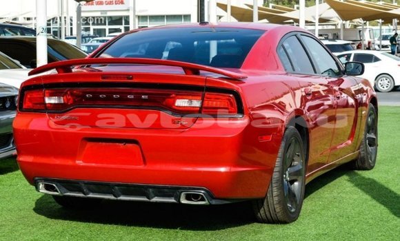 Buy Import Dodge Charger Red Car in Import - Dubai in Abseron Buy Import Dodge Charger Red Car in Import - Dubai in Abseron