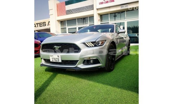 Buy Import Ford Mustang Other Car in Import - Dubai in Abseron Buy Import Ford Mustang Other Car in Import - Dubai in Abseron