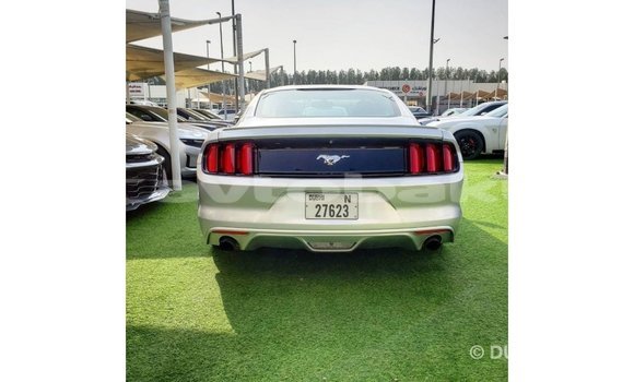 Buy Import Ford Mustang Other Car in Import - Dubai in Abseron Buy Import Ford Mustang Other Car in Import - Dubai in Abseron