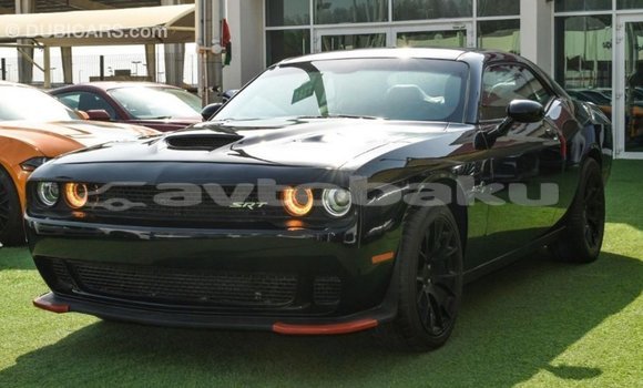 Buy Import Dodge Challenger Black Car in Import - Dubai in Abseron Buy Import Dodge Challenger Black Car in Import - Dubai in Abseron