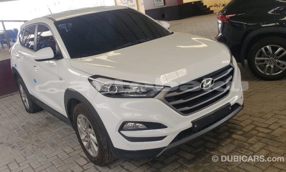 Buy Import Hyundai Tucson White Car in Import - Dubai in Abseron Buy Import Hyundai Tucson White Car in Import - Dubai in Abseron