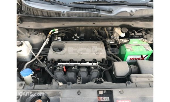 Buy Import Kia Sportage Other Car in Import - Dubai in Abseron Buy Import Kia Sportage Other Car in Import - Dubai in Abseron