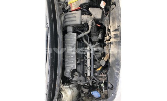 Buy Import Kia Picanto White Car in Import - Dubai in Abseron Buy Import Kia Picanto White Car in Import - Dubai in Abseron