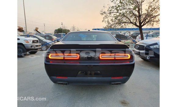 Buy Import Dodge Challenger Black Car in Import - Dubai in Abseron Buy Import Dodge Challenger Black Car in Import - Dubai in Abseron