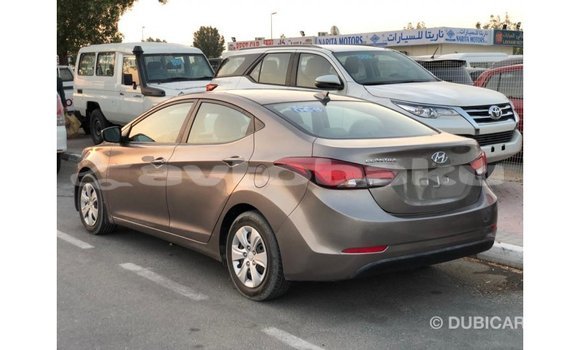 Buy Import Hyundai Elantra Brown Car in Import - Dubai in Abseron Buy Import Hyundai Elantra Brown Car in Import - Dubai in Abseron