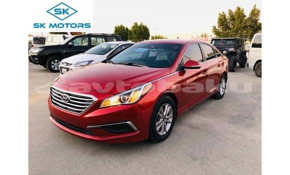 Buy Import Hyundai Sonata Red Car in Import - Dubai in Abseron