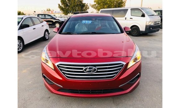 Buy Import Hyundai Sonata Red Car in Import - Dubai in Abseron Buy Import Hyundai Sonata Red Car in Import - Dubai in Abseron