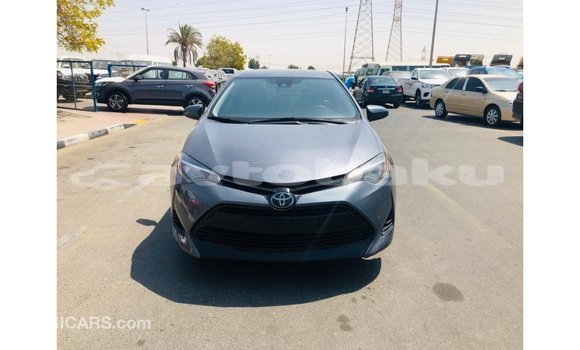 Buy Import Toyota Corolla Other Car in Import - Dubai in Abseron Buy Import Toyota Corolla Other Car in Import - Dubai in Abseron