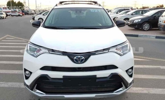 Buy Import Toyota RAV4 White Car in Import - Dubai in Abseron Buy Import Toyota RAV4 White Car in Import - Dubai in Abseron