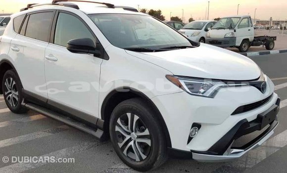 Buy Import Toyota RAV4 White Car in Import - Dubai in Abseron Buy Import Toyota RAV4 White Car in Import - Dubai in Abseron