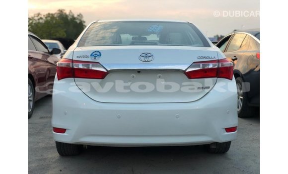 Buy Import Toyota Corolla White Car in Import - Dubai in Abseron Buy Import Toyota Corolla White Car in Import - Dubai in Abseron