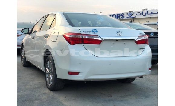 Buy Import Toyota Corolla White Car in Import - Dubai in Abseron Buy Import Toyota Corolla White Car in Import - Dubai in Abseron