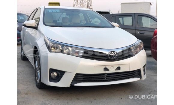 Buy Import Toyota Corolla White Car in Import - Dubai in Abseron Buy Import Toyota Corolla White Car in Import - Dubai in Abseron
