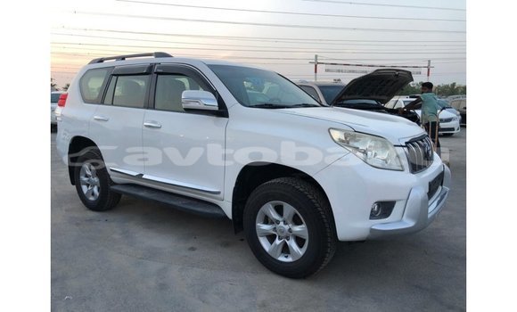 Buy Import Toyota Prado White Car in Import - Dubai in Abseron Buy Import Toyota Prado White Car in Import - Dubai in Abseron