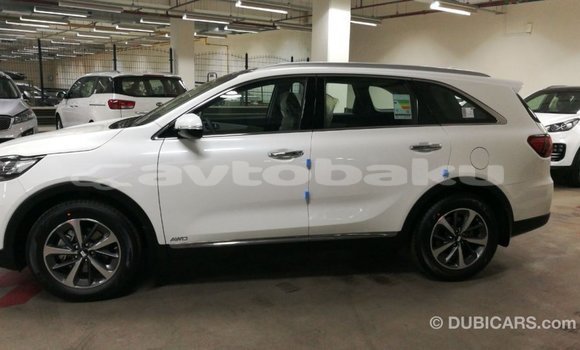 Buy Import Kia Sorento White Car in Import - Dubai in Abseron Buy Import Kia Sorento White Car in Import - Dubai in Abseron