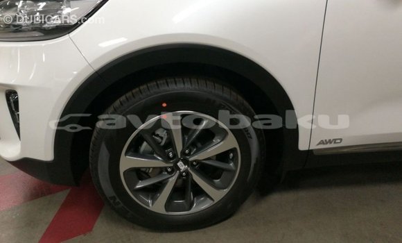 Buy Import Kia Sorento White Car in Import - Dubai in Abseron Buy Import Kia Sorento White Car in Import - Dubai in Abseron