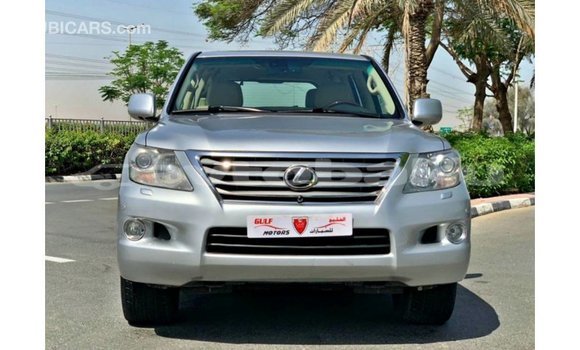 Buy Import Lexus LX Other Car in Import - Dubai in Abseron Buy Import Lexus LX Other Car in Import - Dubai in Abseron