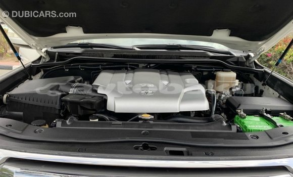 Buy Import Toyota Land Cruiser White Car in Import - Dubai in Abseron Buy Import Toyota Land Cruiser White Car in Import - Dubai in Abseron