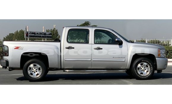Buy Import Chevrolet Silverado Other Car in Import - Dubai in Abseron Buy Import Chevrolet Silverado Other Car in Import - Dubai in Abseron