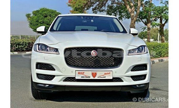 Buy Import Jaguar F-Pace White Car in Import - Dubai in Abseron Buy Import Jaguar F-Pace White Car in Import - Dubai in Abseron