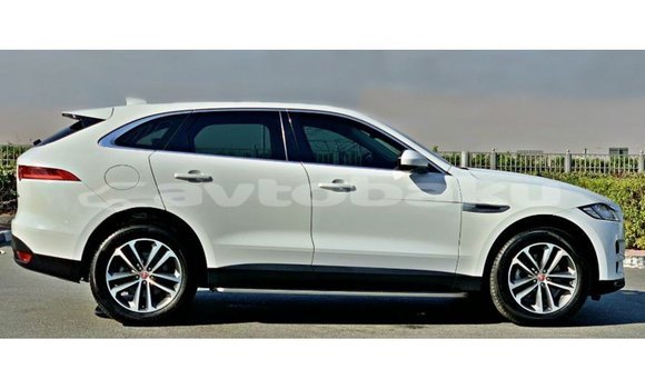 Buy Import Jaguar F-Pace White Car in Import - Dubai in Abseron Buy Import Jaguar F-Pace White Car in Import - Dubai in Abseron