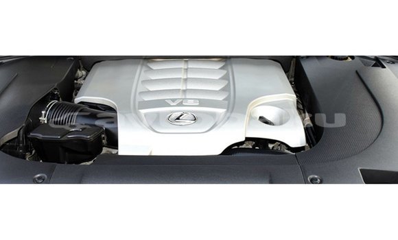 Buy Import Lexus LX White Car in Import - Dubai in Abseron Buy Import Lexus LX White Car in Import - Dubai in Abseron
