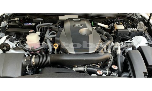 Buy Import Lexus IS White Car in Import - Dubai in Abseron Buy Import Lexus IS White Car in Import - Dubai in Abseron