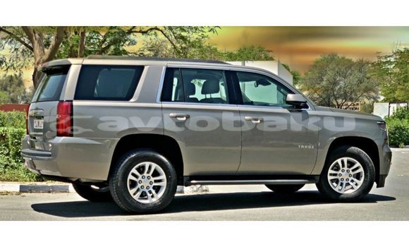 Buy Import Chevrolet Tahoe Other Car in Import - Dubai in Abseron Buy Import Chevrolet Tahoe Other Car in Import - Dubai in Abseron