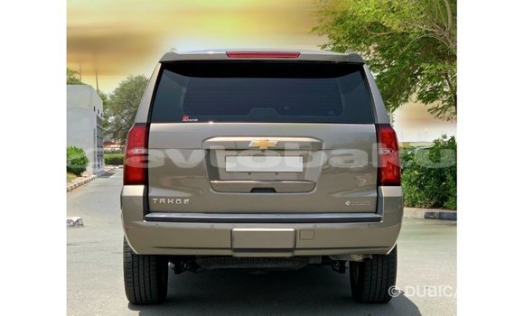 Buy Import Chevrolet Tahoe Other Car in Import - Dubai in Abseron Buy Import Chevrolet Tahoe Other Car in Import - Dubai in Abseron