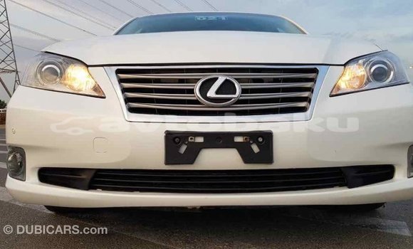 Buy Import Lexus ES White Car in Import - Dubai in Abseron Buy Import Lexus ES White Car in Import - Dubai in Abseron