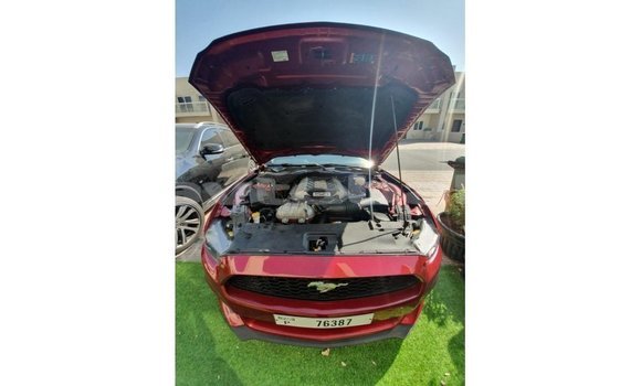 Buy Import Ford Mustang Red Car in Import - Dubai in Abseron Buy Import Ford Mustang Red Car in Import - Dubai in Abseron