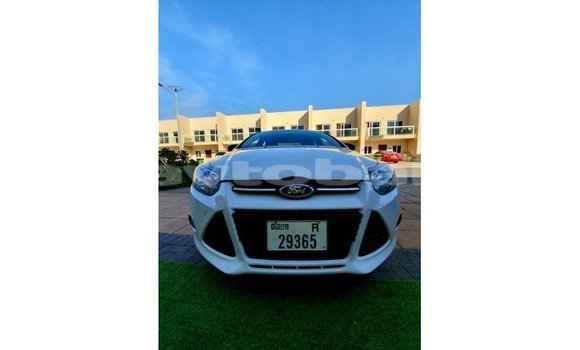 Buy Import Ford Focus White Car in Import - Dubai in Abseron Buy Import Ford Focus White Car in Import - Dubai in Abseron