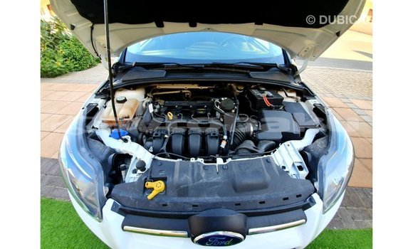 Buy Import Ford Focus White Car in Import - Dubai in Abseron Buy Import Ford Focus White Car in Import - Dubai in Abseron