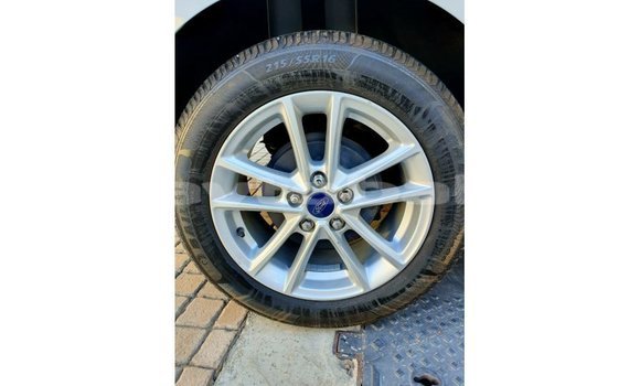 Buy Import Ford Focus White Car in Import - Dubai in Abseron Buy Import Ford Focus White Car in Import - Dubai in Abseron