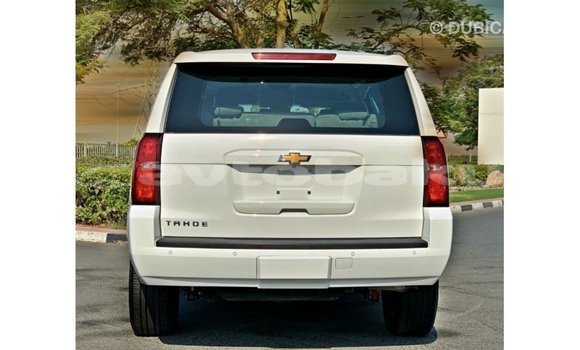 Buy Import Chevrolet Tahoe White Car in Import - Dubai in Abseron Buy Import Chevrolet Tahoe White Car in Import - Dubai in Abseron