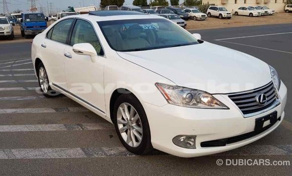 Buy Import Lexus ES White Car in Import - Dubai in Abseron Buy Import Lexus ES White Car in Import - Dubai in Abseron