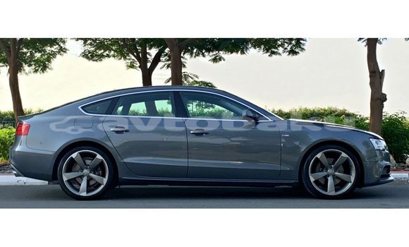 Buy Import Audi 100 Other Car in Import - Dubai in Abseron Buy Import Audi 100 Other Car in Import - Dubai in Abseron